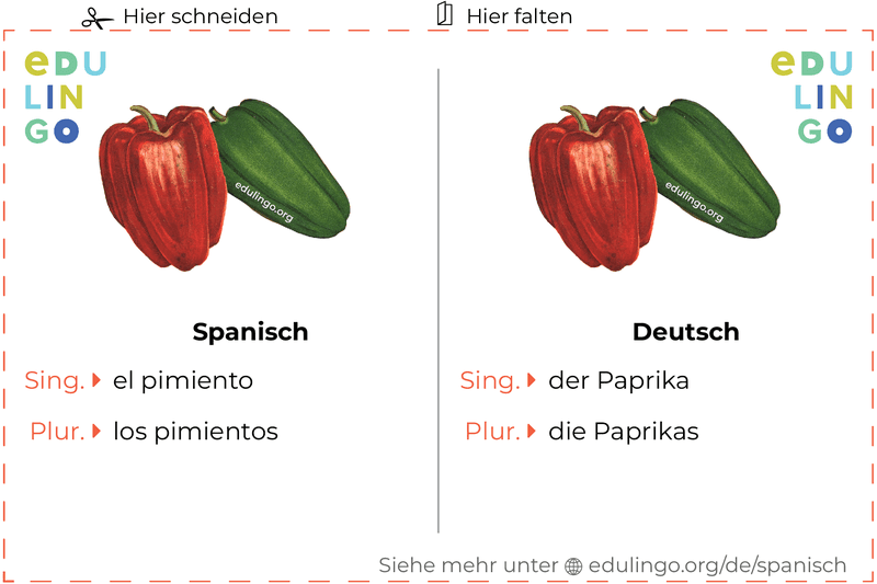 Paprika auf Spanisch Vokabelkartei zum Ausdrucken, Üben und Lernen