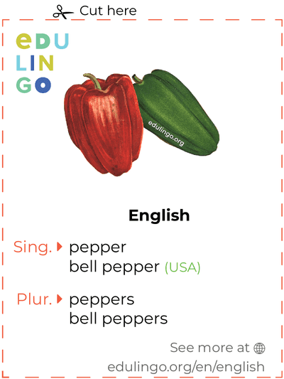 Pepper in English vocabulary flashcard for printing, practicing and learning