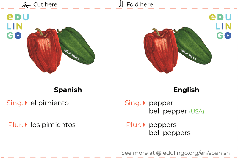 Pepper in Spanish vocabulary flashcard for printing, practicing and learning
