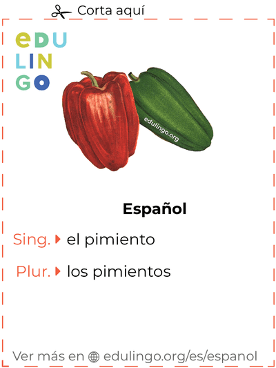 Ficha de Vocabulario Pimiento en español para imprimir, practicar y aprender