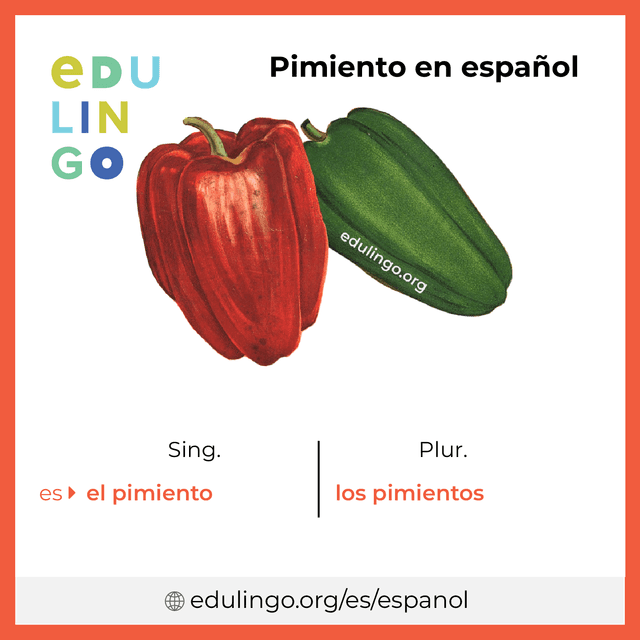 Imagen de vocabulario Pimiento en español con singular y plural para descargar e imprimir