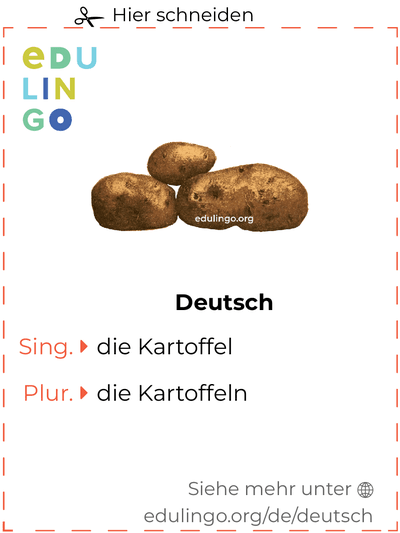 Kartoffel auf Deutsch Vokabelkartei zum Ausdrucken, Üben und Lernen
