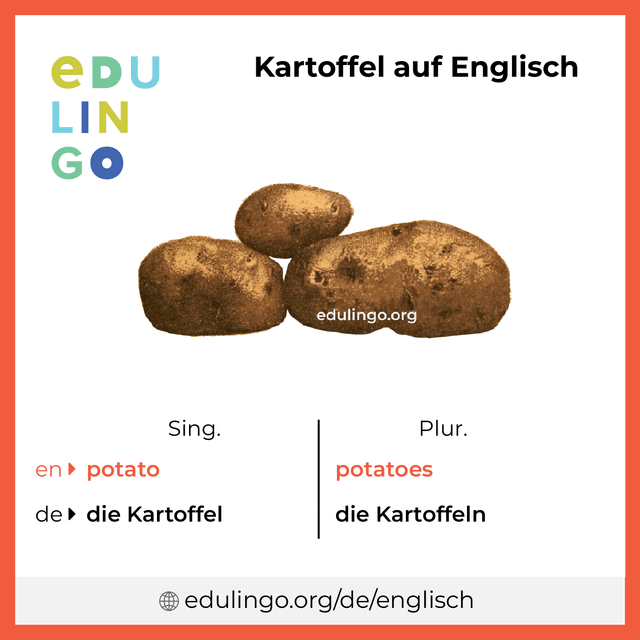 Kartoffel auf Englisch Vokabelbild mit Singular und Plural zum Herunterladen und Ausdrucken