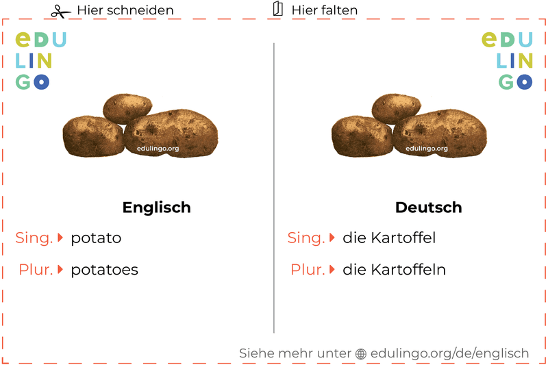 Kartoffel auf Englisch Vokabelkartei zum Ausdrucken, Üben und Lernen