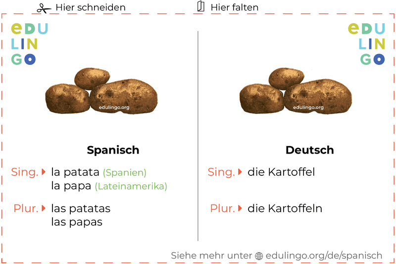 Kartoffel auf Spanisch Vokabelkartei zum Ausdrucken, Üben und Lernen
