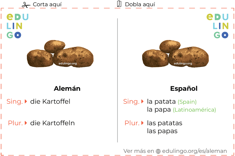 Ficha de Vocabulario Patata en alemán para imprimir, practicar y aprender