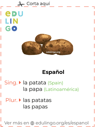Ficha de Vocabulario Patata en español para imprimir, practicar y aprender