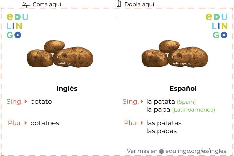Ficha de Vocabulario Patata en inglés para imprimir, practicar y aprender