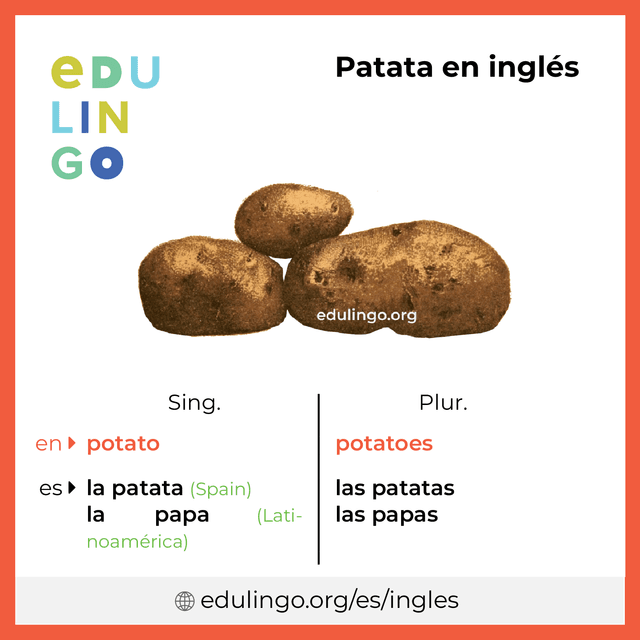 Imagen de vocabulario Patata en inglés con singular y plural para descargar e imprimir