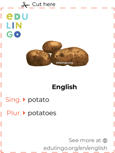 Potato in English vocabulary flashcard for printing, practicing and learning