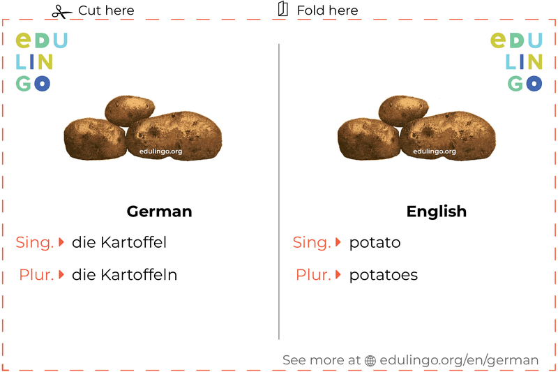 Potato in German vocabulary flashcard for printing, practicing and learning