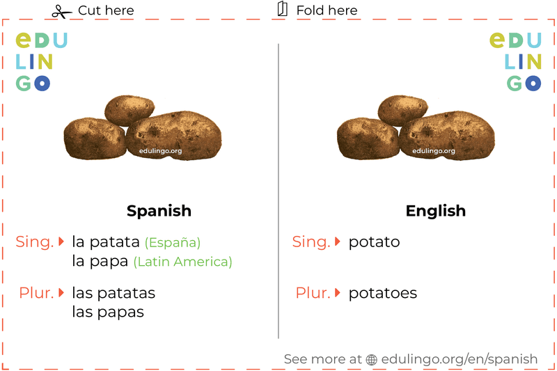 Potato in Spanish vocabulary flashcard for printing, practicing and learning
