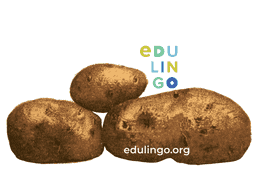 Vorschaubild: Kartoffel auf Englisch