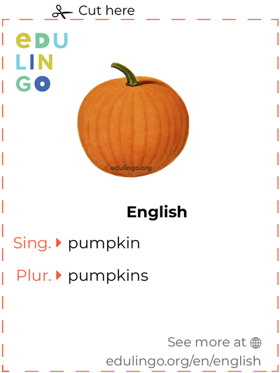 Pumpkin in English vocabulary flashcard for printing, practicing and learning
