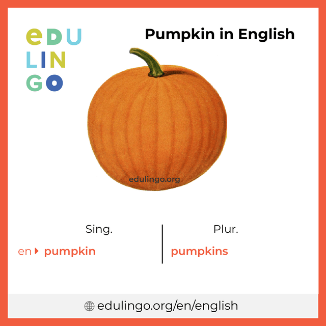 Pumpkin in English vocabulary picture with singular and plural for download and printing
