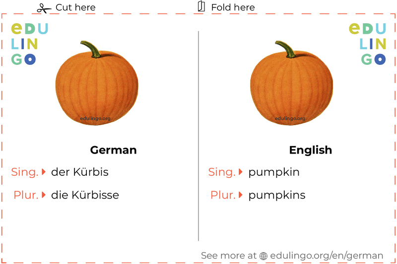 Pumpkin in German vocabulary flashcard for printing, practicing and learning
