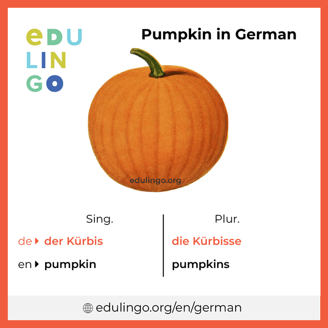 Pumpkin in German vocabulary picture with singular and plural for download and printing