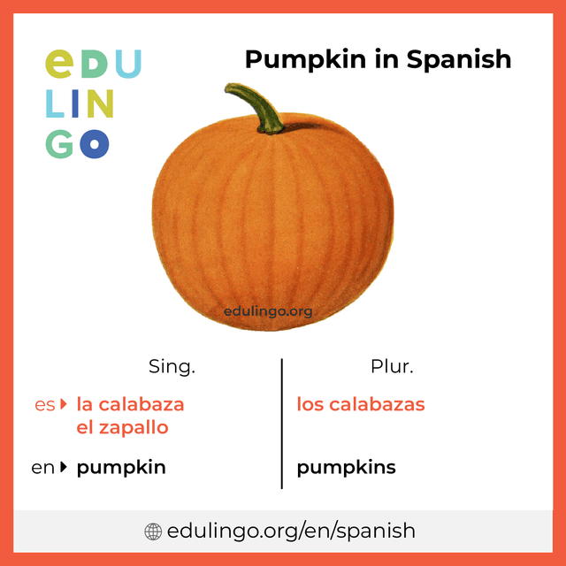 Pumpkin in Spanish vocabulary picture with singular and plural for download and printing