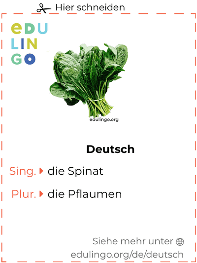 Spinat auf Deutsch Vokabelkartei zum Ausdrucken, Üben und Lernen