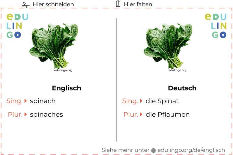 Spinat auf Englisch Vokabelkartei zum Ausdrucken, Üben und Lernen