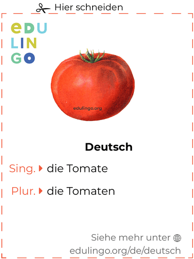 Tomate auf Deutsch Vokabelkartei zum Ausdrucken, Üben und Lernen