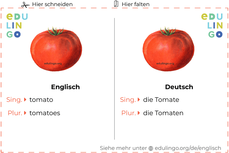 Tomate auf Englisch Vokabelkartei zum Ausdrucken, Üben und Lernen