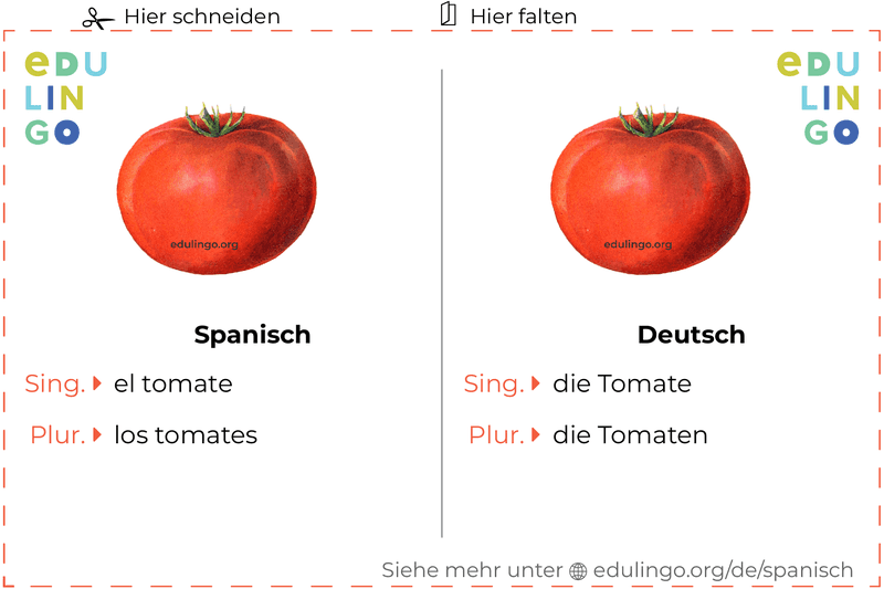 Tomate auf Spanisch Vokabelkartei zum Ausdrucken, Üben und Lernen