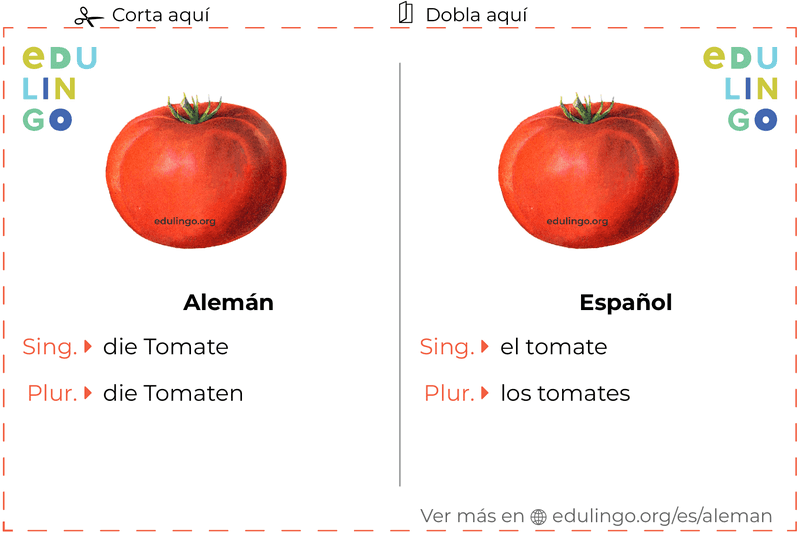Ficha de Vocabulario Tomate en alemán para imprimir, practicar y aprender