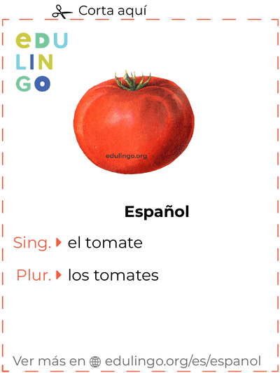 Ficha de Vocabulario Tomate en español para imprimir, practicar y aprender