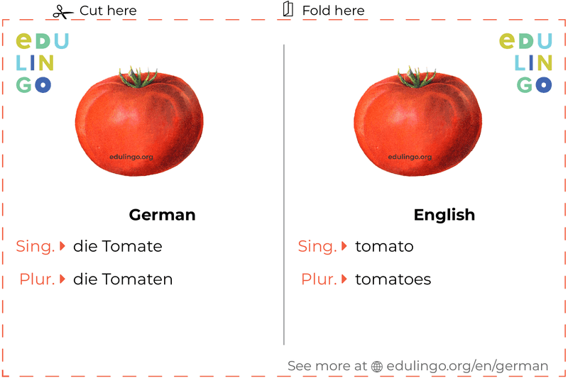 Tomato in German vocabulary flashcard for printing, practicing and learning