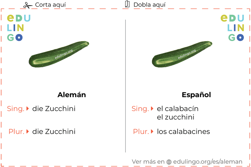 Ficha de Vocabulario Calabacín en alemán para imprimir, practicar y aprender