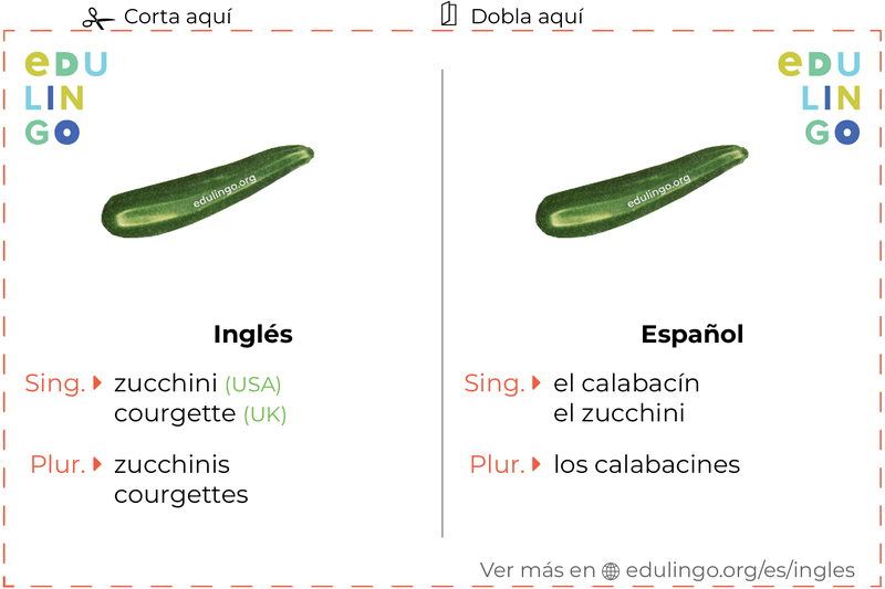 Ficha de Vocabulario Calabacín en inglés para imprimir, practicar y aprender