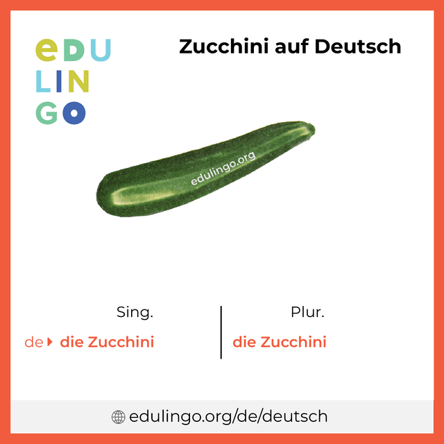 Zucchini auf Deutsch Vokabelbild mit Singular und Plural zum Herunterladen und Ausdrucken
