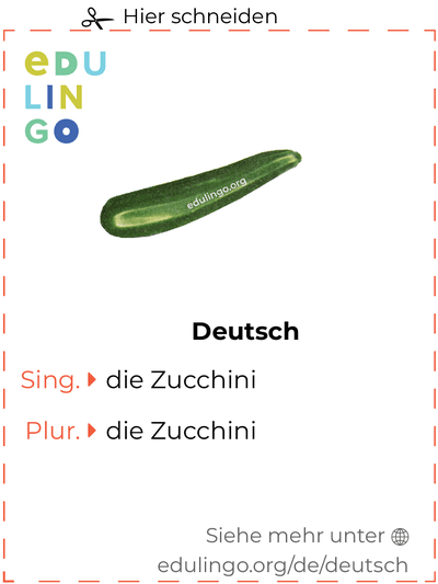 Zucchini auf Deutsch Vokabelkartei zum Ausdrucken, Üben und Lernen