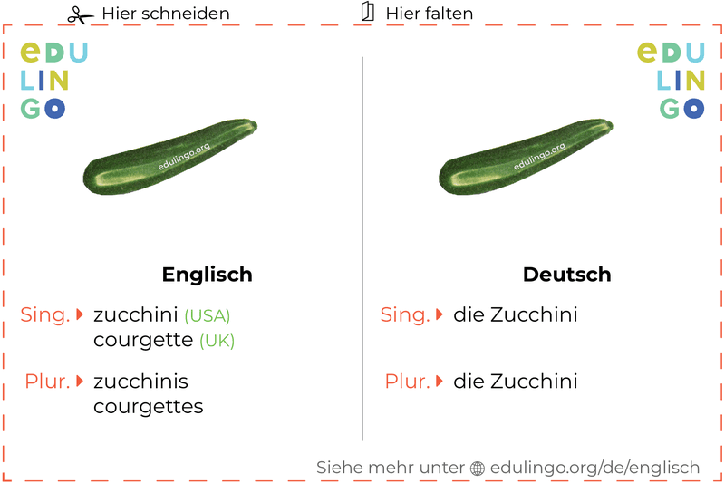 Zucchini auf Englisch Vokabelkartei zum Ausdrucken, Üben und Lernen