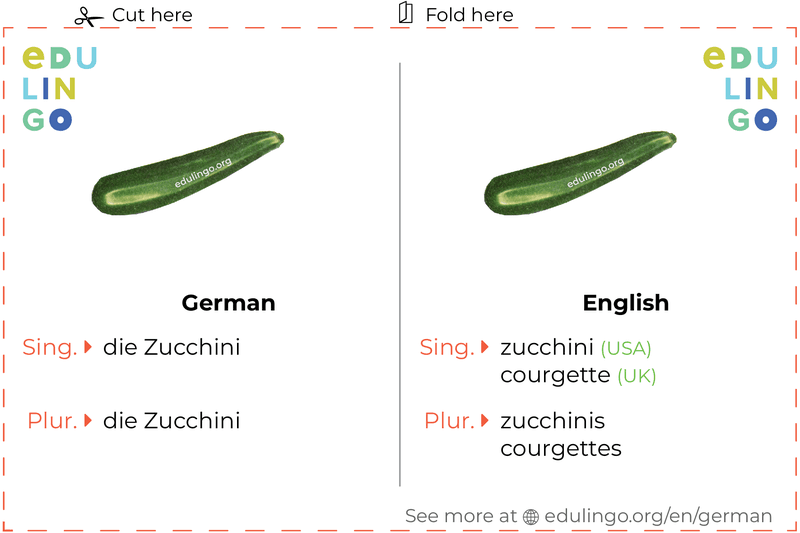 Zucchini in German vocabulary flashcard for printing, practicing and learning